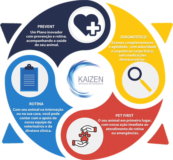 ciclo kaizen veterinario popular em cotia